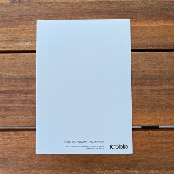 VINTAGE 90s 🐶 WILLIAM WEGMAN WEIMARANER DOG FOTOFOLIO CHRISTMAS CARD . 1995 XMAS - Picture 5 of 8